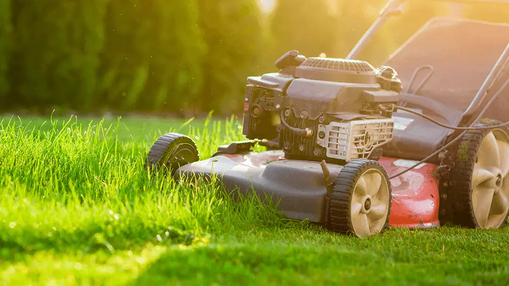 lawn-and-garden-1.webp