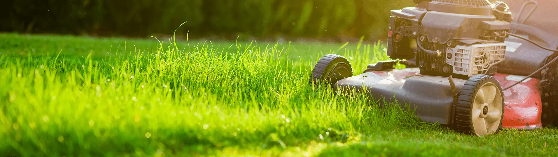 lawn-and-garden-2-pc.webp