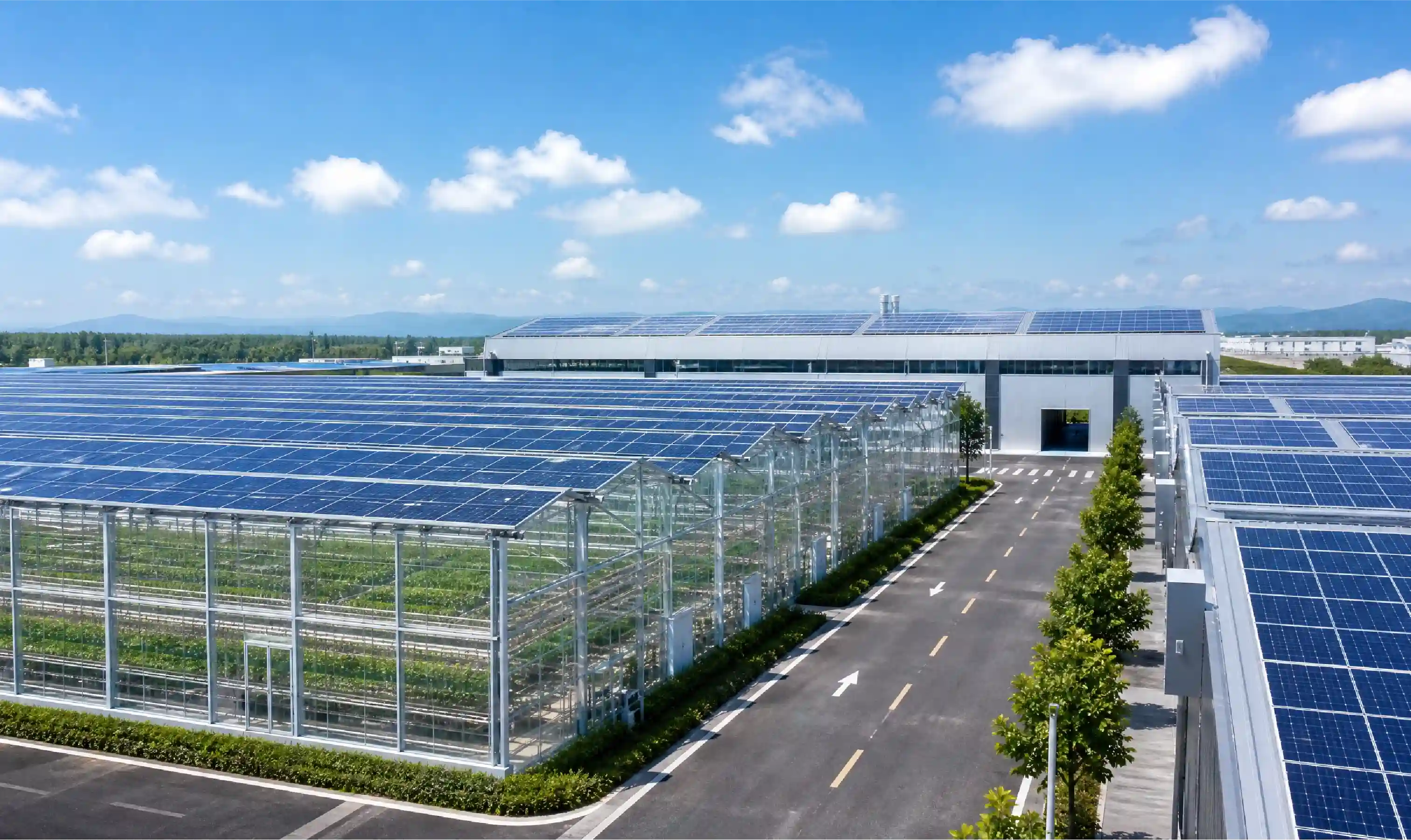 renewable-energy-8.webp