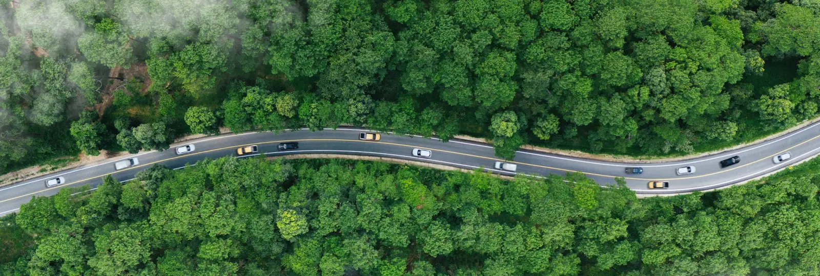 sustainability-2.webp