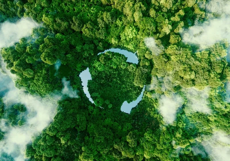 sustainability-3.webp