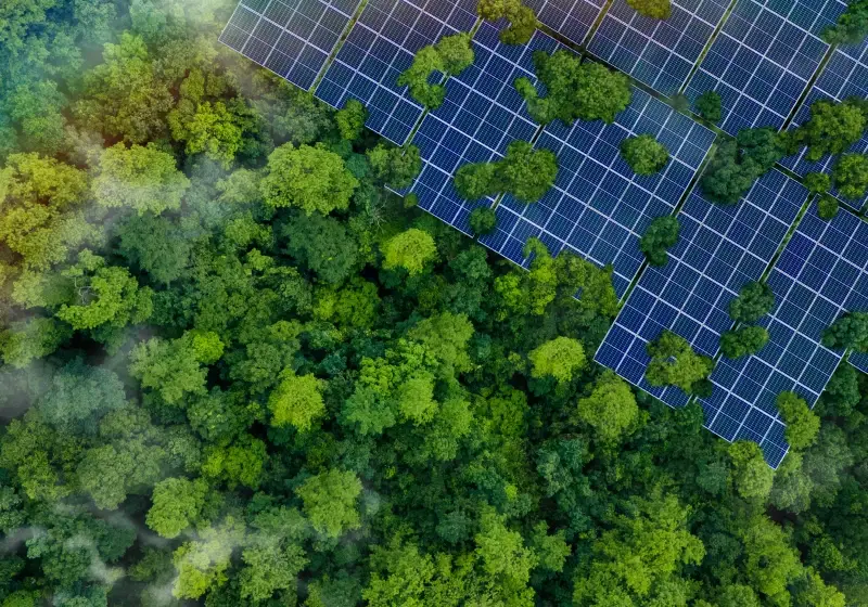 sustainability-4.webp